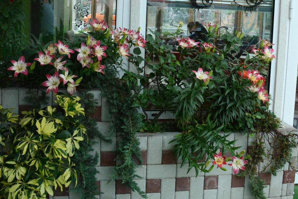 Apartmani Banja Spa Vrnjacka Banja Luaran gambar
